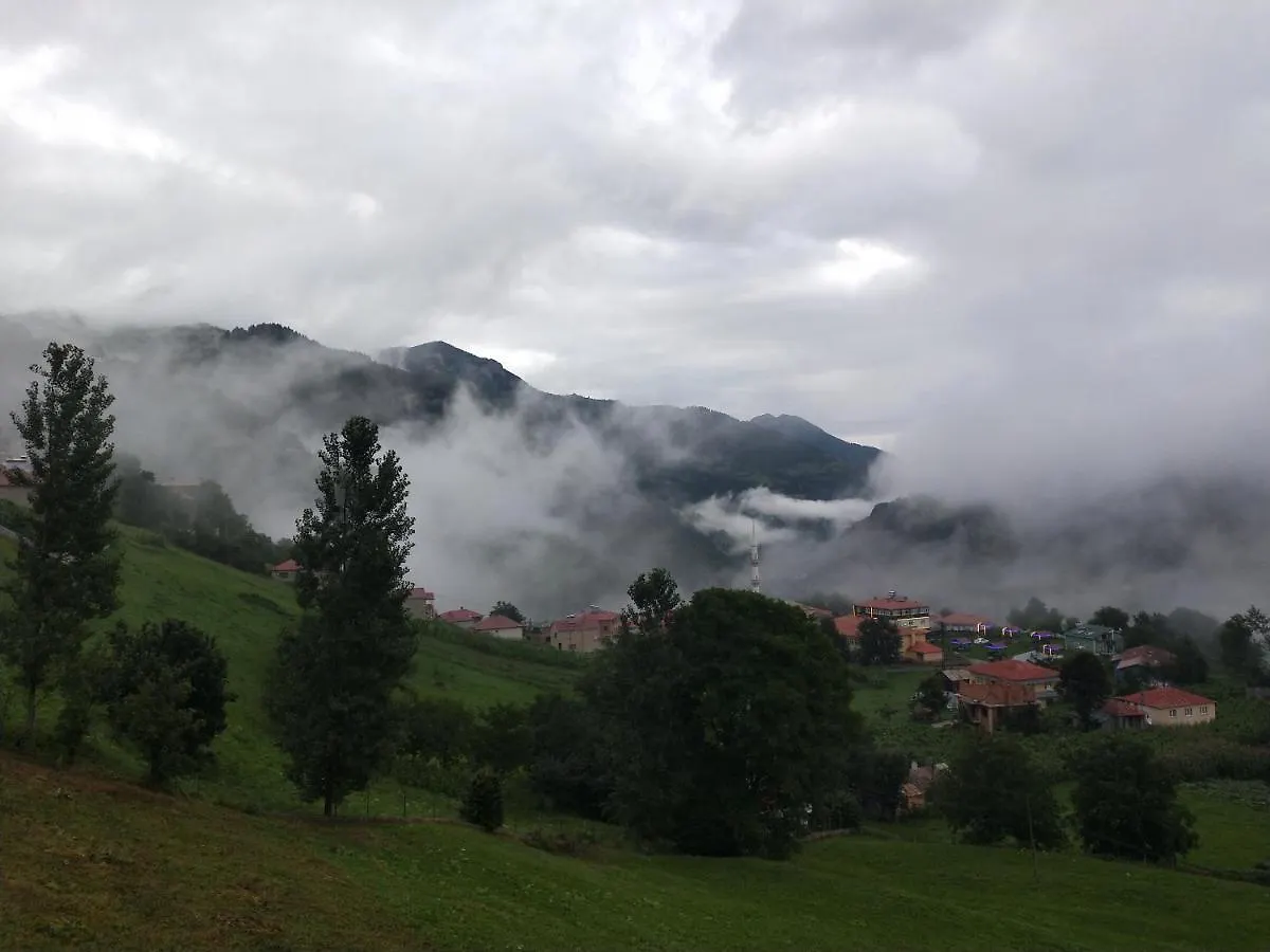 Hotel Hamsikoy Tas Otel Trabzon